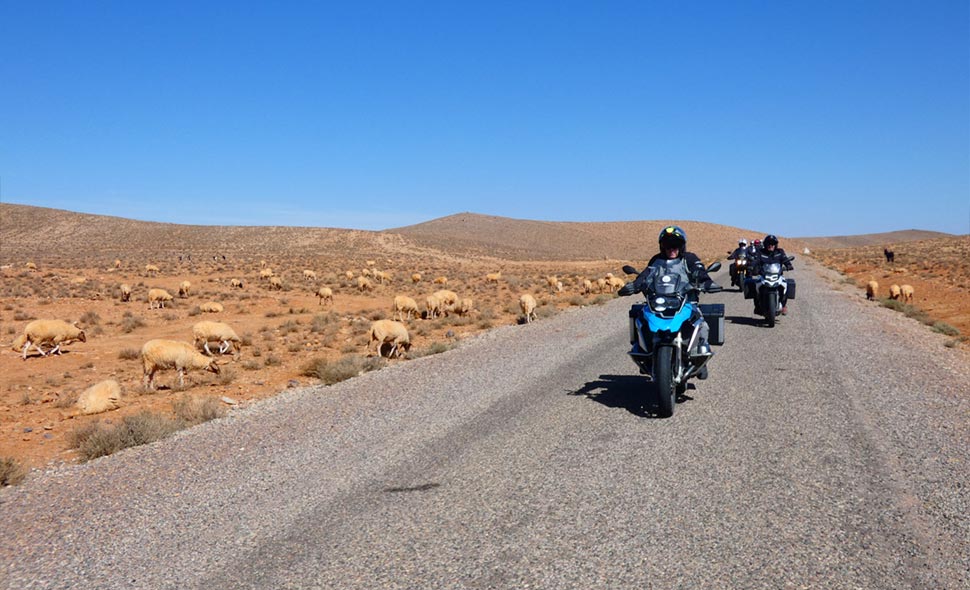 Anti Atlas y Valle del Draa